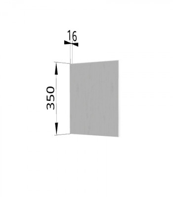 Панель торцевая (для шкафа горизонтального) ПГ Ройс (Графит софт) в Чистоозёрном - chistoozyornoe.mebel54.com | фото