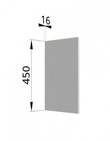 Панель торцевая (для шкафа горизонтального высокого) ВПГ Ройс (Графит софт) в Чистоозёрном - chistoozyornoe.mebel54.com | фото